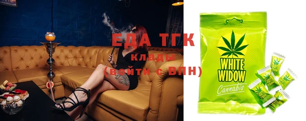шишки Медвежьегорск