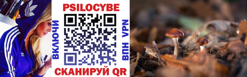 ОМГ ОМГ вход  Шлиссельбург  Галлюциногенные грибы Cubensis 